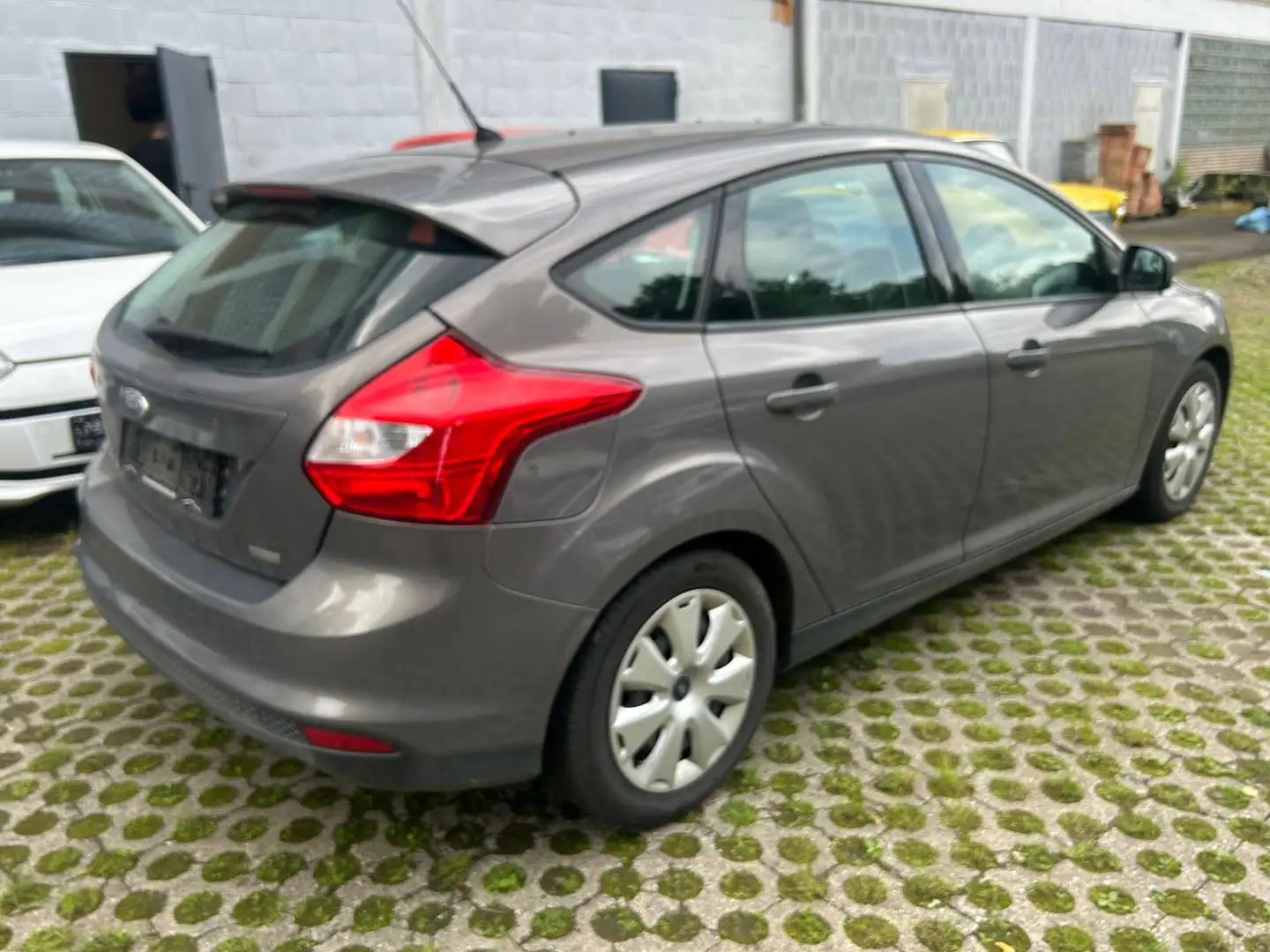 Ford Focus Lim. Trend Marrone - 2