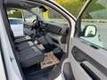 Citroen Jumpy Profi XS (L1) Weiß - thumbnail 25