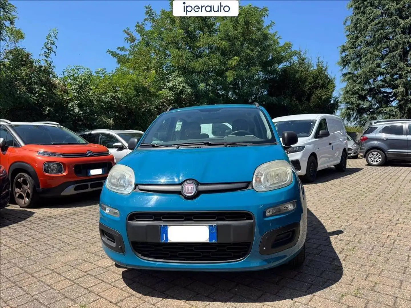 Fiat Panda 1.2 Lounge 69cv Blu/Azzurro - 2