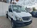 Mercedes-Benz Sprinter 316 CDI Pritsche Stand. Allrad Weiß - thumbnail 14