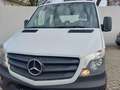 Mercedes-Benz Sprinter 316 CDI Pritsche Stand. Allrad Weiß - thumbnail 18