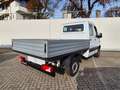 Mercedes-Benz Sprinter 316 CDI Pritsche Stand. Allrad Weiß - thumbnail 5