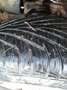 Nissan Navara Navara DPF Autm. LB SE Silber - thumbnail 12