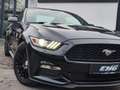 Ford Mustang Fastback 3.7 V6 DOHC|BI-XENON|LEDER|KAMERA Schwarz - thumbnail 36