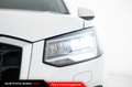 Audi Q2 30 TDI S tronic Business Bianco - thumbnail 12