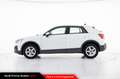Audi Q2 30 TDI S tronic Business Bianco - thumbnail 3