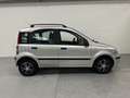 Fiat Panda 1.2 Navigator elk.pakket / pano /  stuurbkr Gris - thumbnail 4