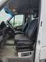 Mercedes-Benz Sprinter 313 (Stock ID 52818) Wit - thumbnail 20