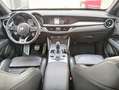 Alfa Romeo Stelvio Stelvio 2.2 Turbodiesel 210 CV AT8 Q4 Veloce Verde - thumbnail 11