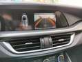 Alfa Romeo Stelvio Stelvio 2.2 Turbodiesel 210 CV AT8 Q4 Veloce Verde - thumbnail 15
