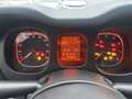 Fiat Panda Panda III  1.0 firefly hybrid City Life - thumbnail 13
