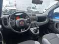 Fiat Panda Panda III  1.0 firefly hybrid City Life - thumbnail 8