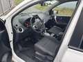 Renault Koleos 2,0 dCi 4x4 TomTom DPF Aut. Weiß - thumbnail 9