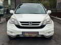 Honda CR-V CR-V 2.2 CTDi Executive / Automat Blanc - thumbnail 3