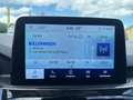 Ford Kuga 2,5 Duratec FHEV ST-Line Aut. Grau - thumbnail 21