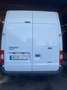Ford Transit Transit 260 K TDCi Lkw VATrend Weiß - thumbnail 3