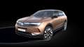 Opel Grandland Electric GS 73 kWh **Elektrohammer** Gold - thumbnail 6