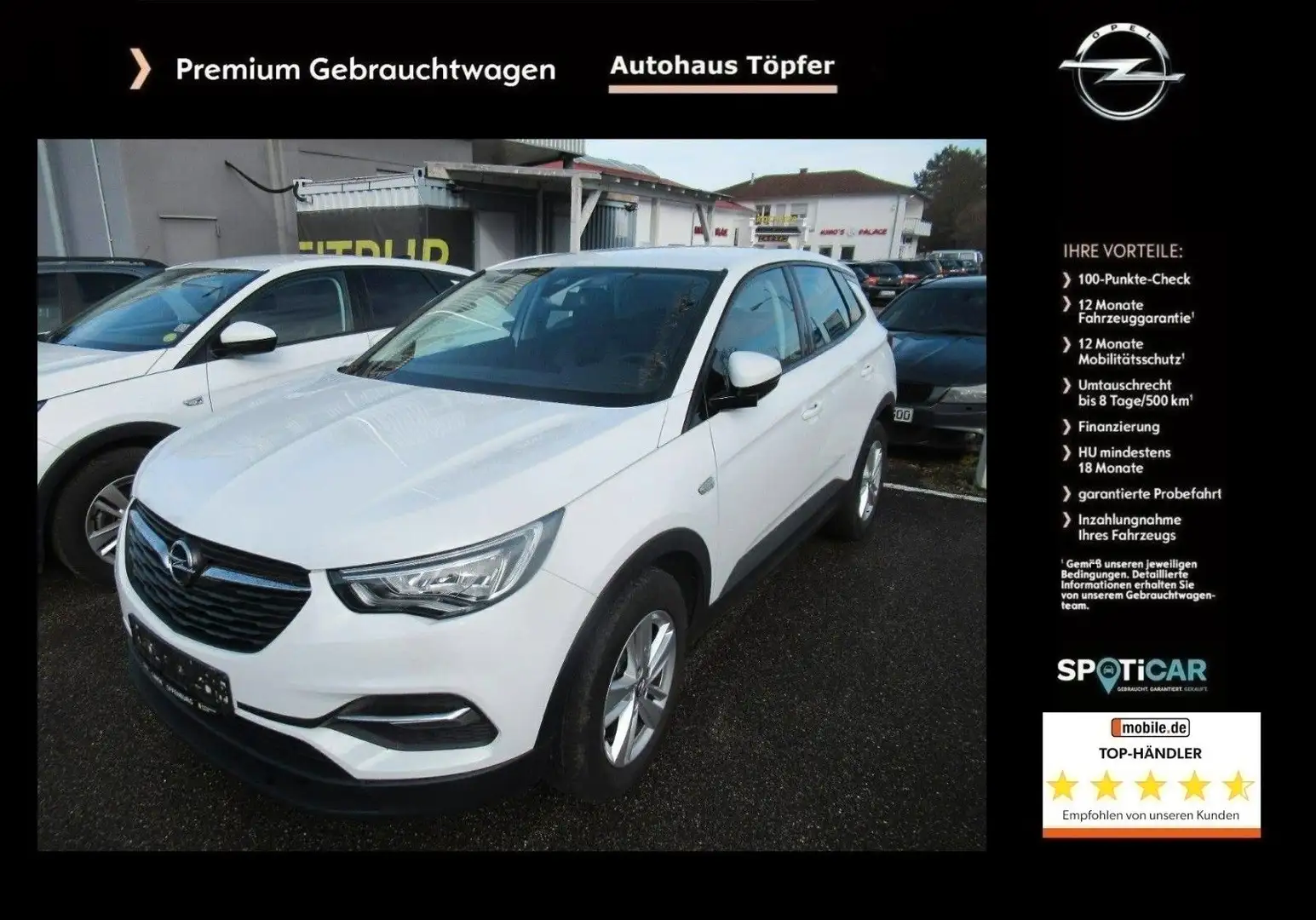 Opel Grandland X Edition/Sitzheizung/Navi/LED-Licht Biały - 1