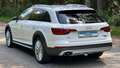 Audi A4 allroad quattro Weiß - thumbnail 6