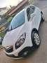 Opel Mokka Mokka 1,6 CDTI Cosmo Aut. Cosmo Weiß - thumbnail 6