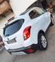 Opel Mokka Mokka 1,6 CDTI Cosmo Aut. Cosmo Weiß - thumbnail 11