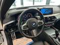 BMW 540 i xDrive M Sport / Individual / Schiebedach / VOL Alb - thumbnail 40