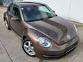 Volkswagen Beetle 1,2 TSI BMT Braun - thumbnail 12