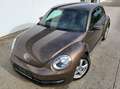 Volkswagen Beetle 1,2 TSI BMT Braun - thumbnail 2
