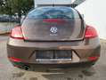 Volkswagen Beetle 1,2 TSI BMT Braun - thumbnail 7