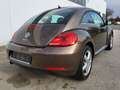 Volkswagen Beetle 1,2 TSI BMT Braun - thumbnail 8