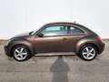 Volkswagen Beetle 1,2 TSI BMT Braun - thumbnail 3