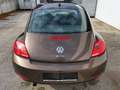 Volkswagen Beetle 1,2 TSI BMT Braun - thumbnail 6