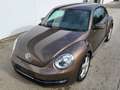 Volkswagen Beetle 1,2 TSI BMT Braun - thumbnail 1