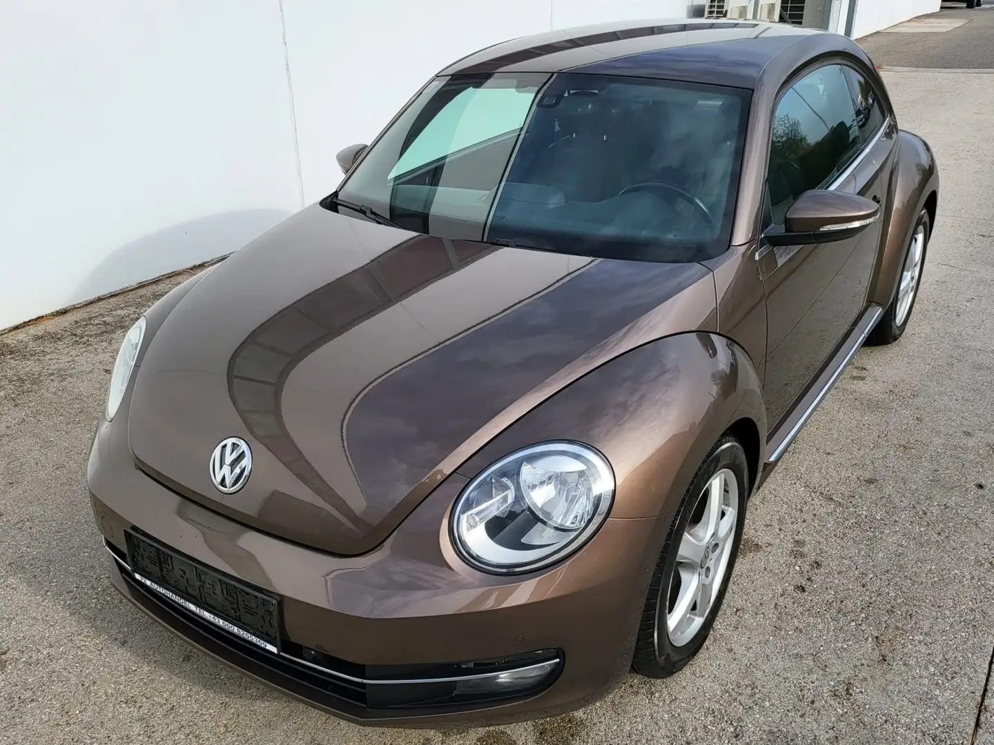 Volkswagen Beetle 1,2 TSI BMT Braun - 1