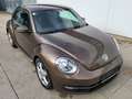 Volkswagen Beetle 1,2 TSI BMT Braun - thumbnail 11