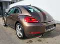 Volkswagen Beetle 1,2 TSI BMT Braun - thumbnail 4