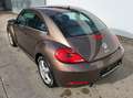 Volkswagen Beetle 1,2 TSI BMT Braun - thumbnail 5