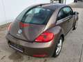 Volkswagen Beetle 1,2 TSI BMT Braun - thumbnail 9