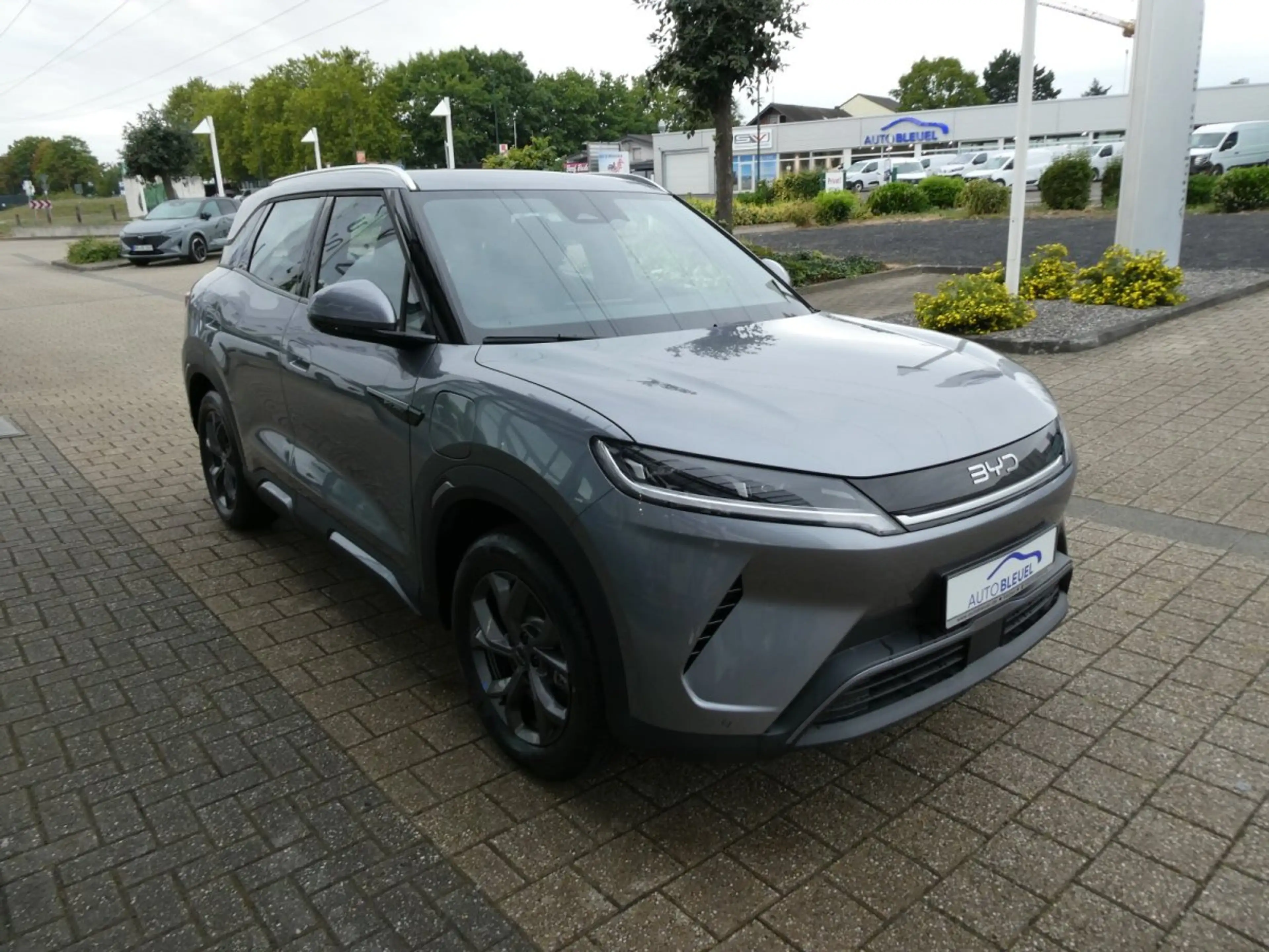 BYD Atto 2 DM-I Boost *Privacy*Leder*Glasdach*360Grad* — photo 6