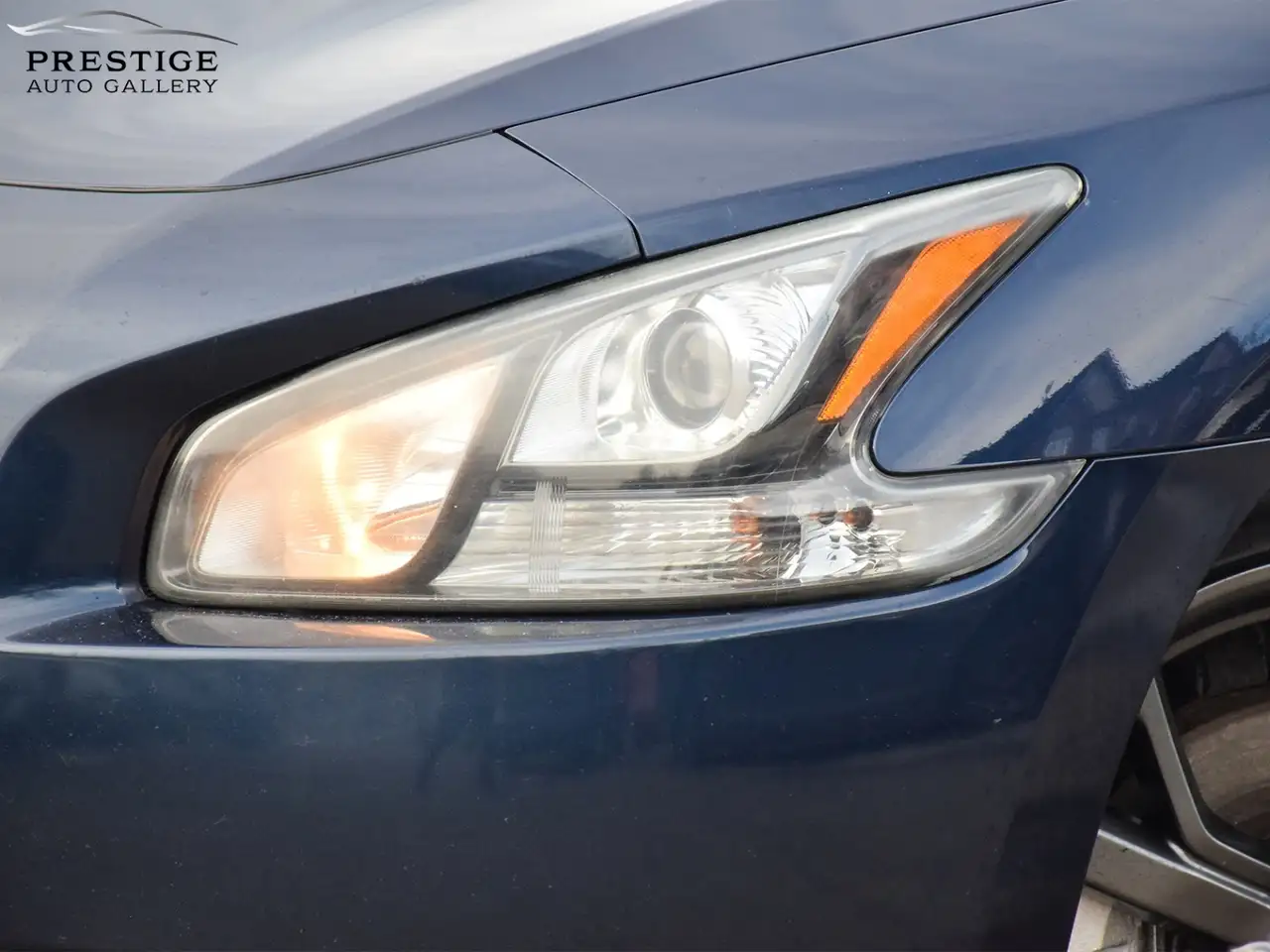 Nissan Maxima снимка Nissan Maxima