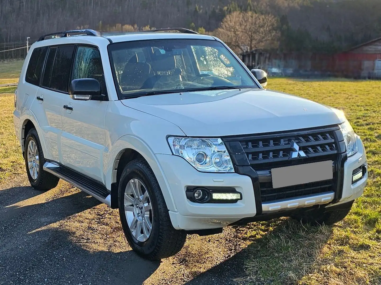Mitsubishi Pajero Wit - 1