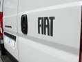 Fiat Ducato 2.2 Mjet 140cv 35 Q.li L2H2 SERIE 2 Белый - thumbnail 10