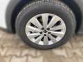 SEAT Arona 1.0 TSI 6-Gang STYLE NAVI/ACC/SHZ/ALLWETTERREIFEN Blanc - thumbnail 5
