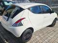 Lancia Ypsilon Ypsilon 0.9 t.air Elefantino ecochic metano 80cv Bianco - thumbnail 4