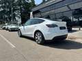 Tesla Model Y Model Y RWD Bianco - thumbnail 3