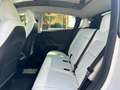 Tesla Model Y Model Y RWD Bianco - thumbnail 12