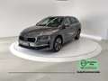 Skoda Octavia Octavia 2.0 TDI 150 CV DSG Wagon Style Grau - thumbnail 3