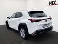 Lexus UX 300h 2.0 Hybrid F-Sport Design LED SHZ Blanc - thumbnail 3
