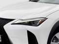 Lexus UX 300h 2.0 Hybrid F-Sport Design LED SHZ Blanc - thumbnail 2
