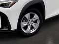 Lexus UX 300h 2.0 Hybrid F-Sport Design LED SHZ Blanc - thumbnail 14